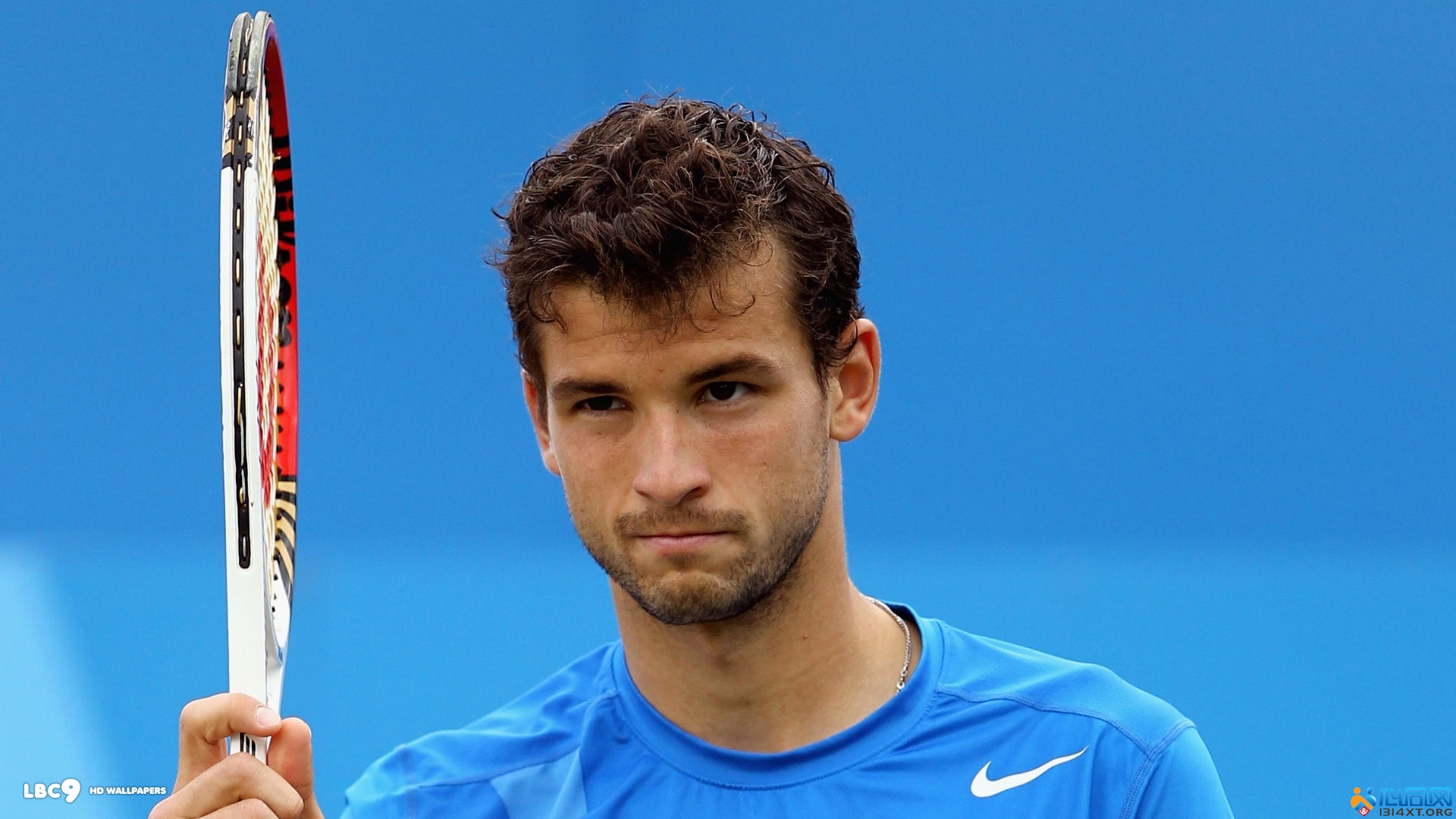 明显上调 明显上调